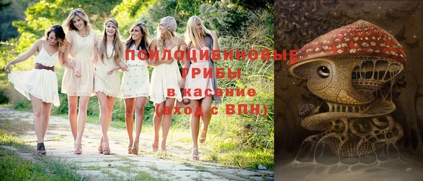 PSILOCYBIN Алзамай