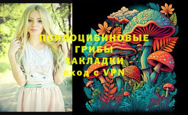 мяу мяу кристалл Алексин