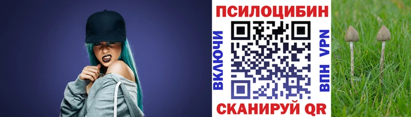 дарк нет как зайти  Елизаветинская  Псилоцибиновые грибы MAGIC MUSHROOMS  закладки 